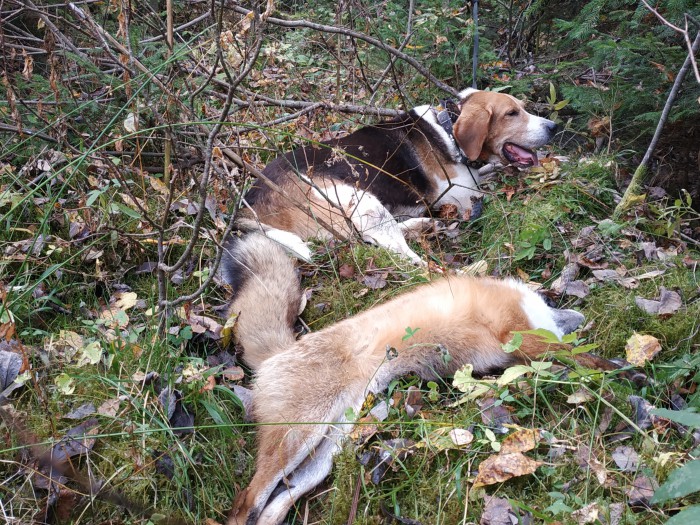 IMG_20181023_202401.jpg (2.91 МБ) Просмотров: 4266 IMG_20181023_202401.jpg